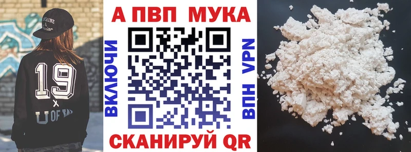 Альфа ПВП СК  Шенкурск 