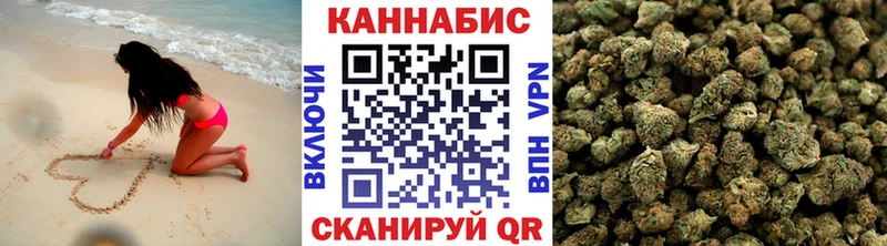 Бошки Шишки планчик  мега вход  Шенкурск 